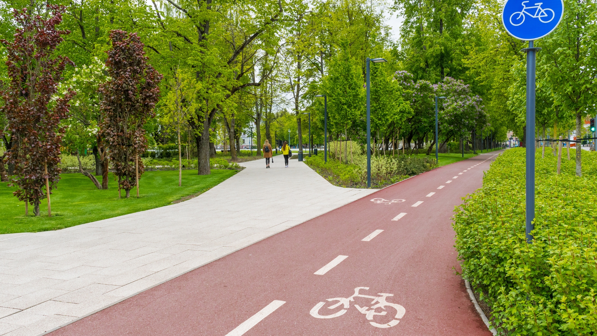 Transport- en Mobiliteitsplanning