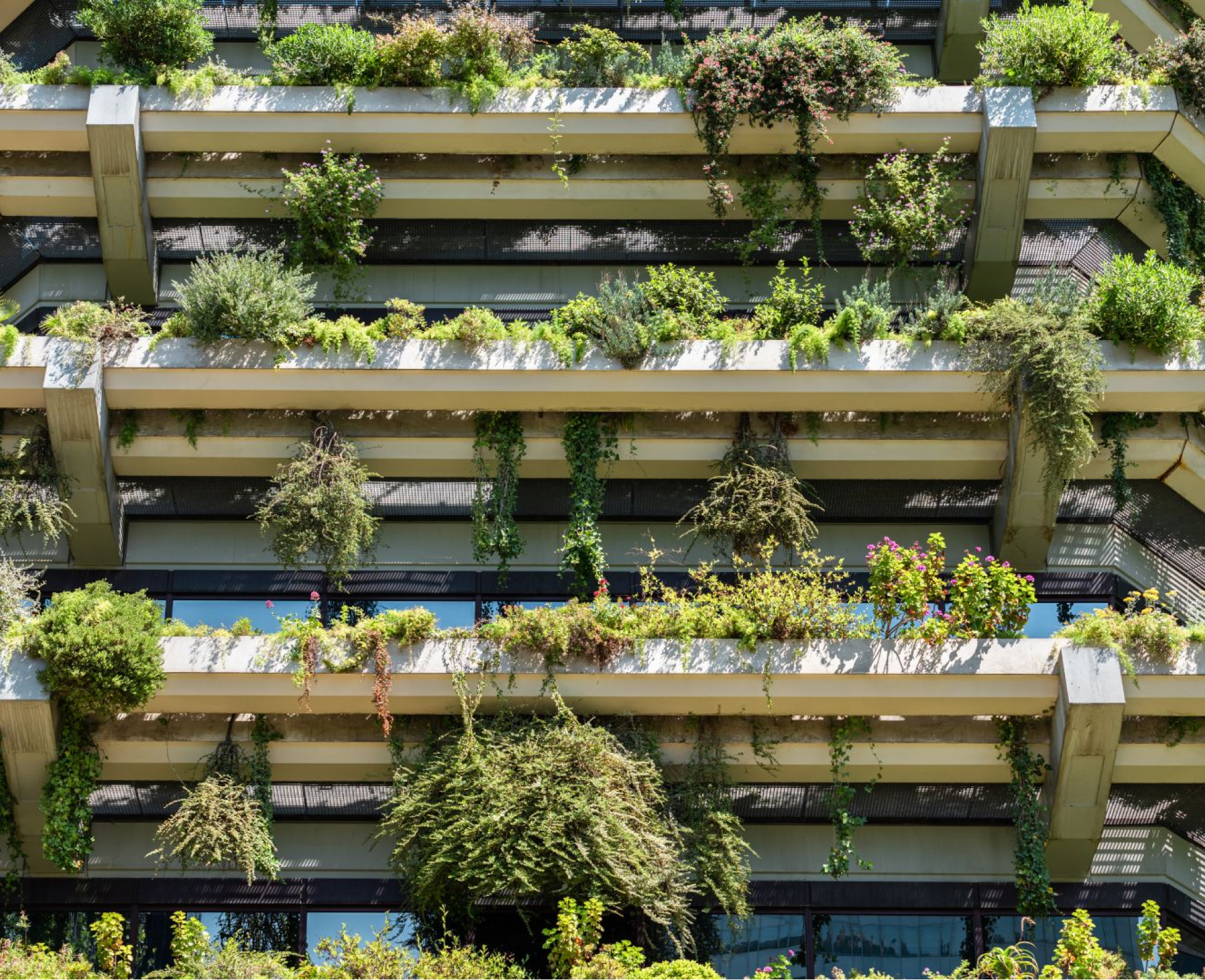 Locatieanalyse en Haalbaarheidsstudies